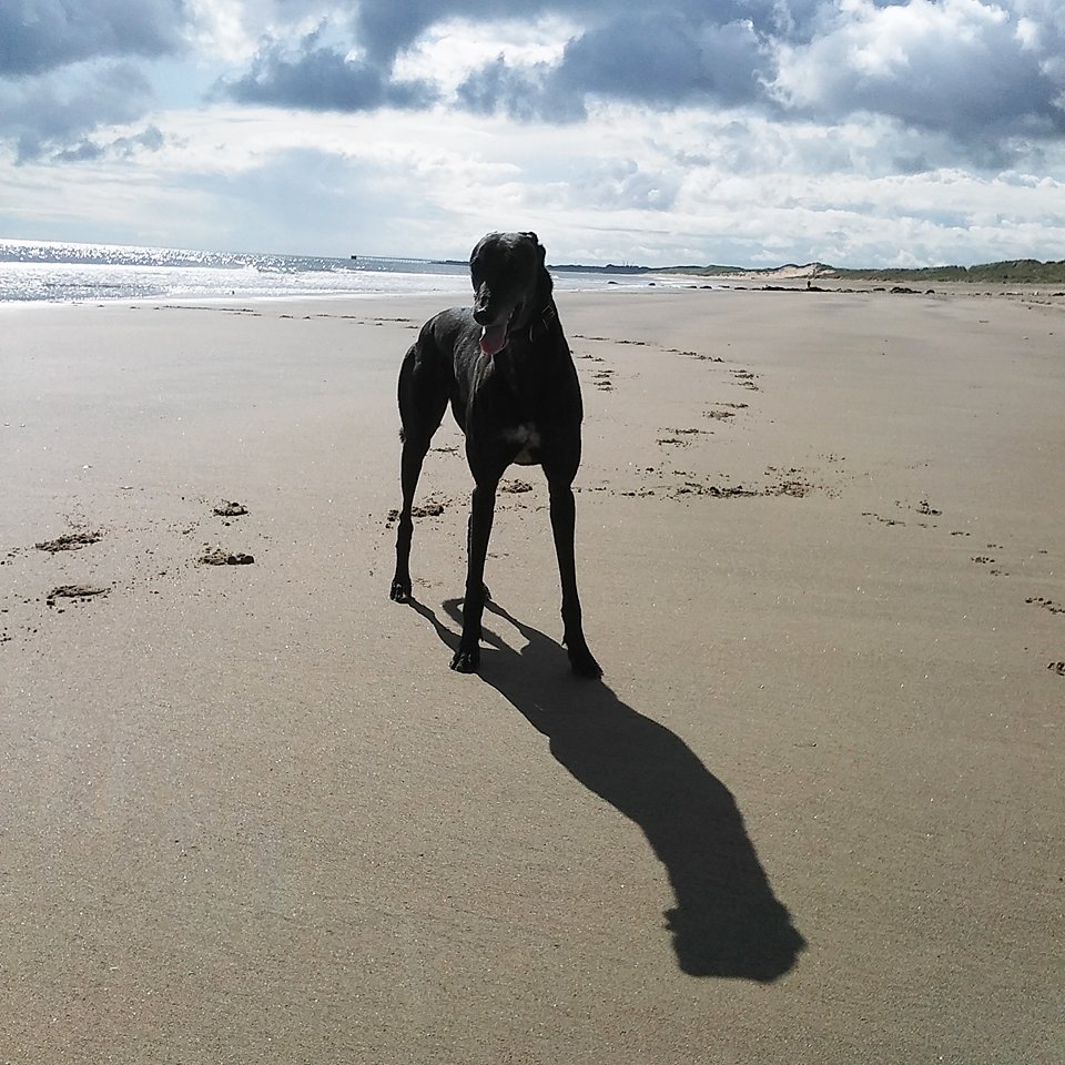 received_10159079305020533